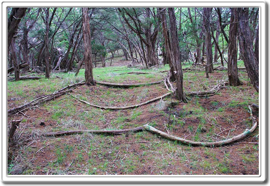Texas Land Art In Austin Hill Country